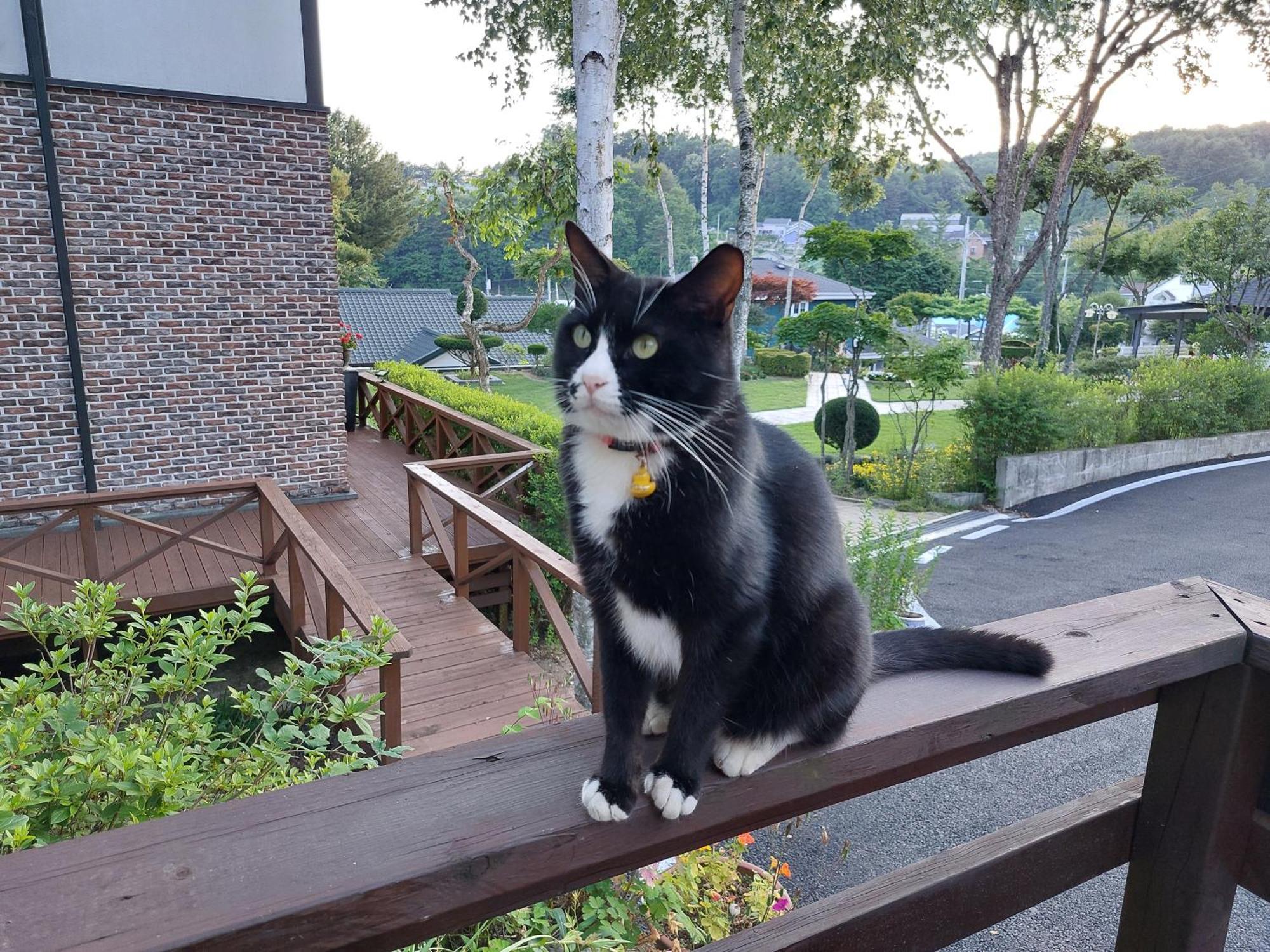 Soop And Soop Pension Pjongczang Zewnętrze zdjęcie